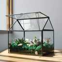 Large Glass Plant Terrarium – House Succulent Glass Terrarium Kit with Lip Glass Greenhouse Terrarium for Plant 12.26X9.15X10.9inch (Black 2)