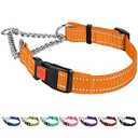CollarDirect Martingale Dog Collar Heavy Duty Nylon Slip Collars for Small Medium Large Dogs [Stainless Steel Chain and Quick Release Buckle, Reflective, Orange, L, 17"-22"]