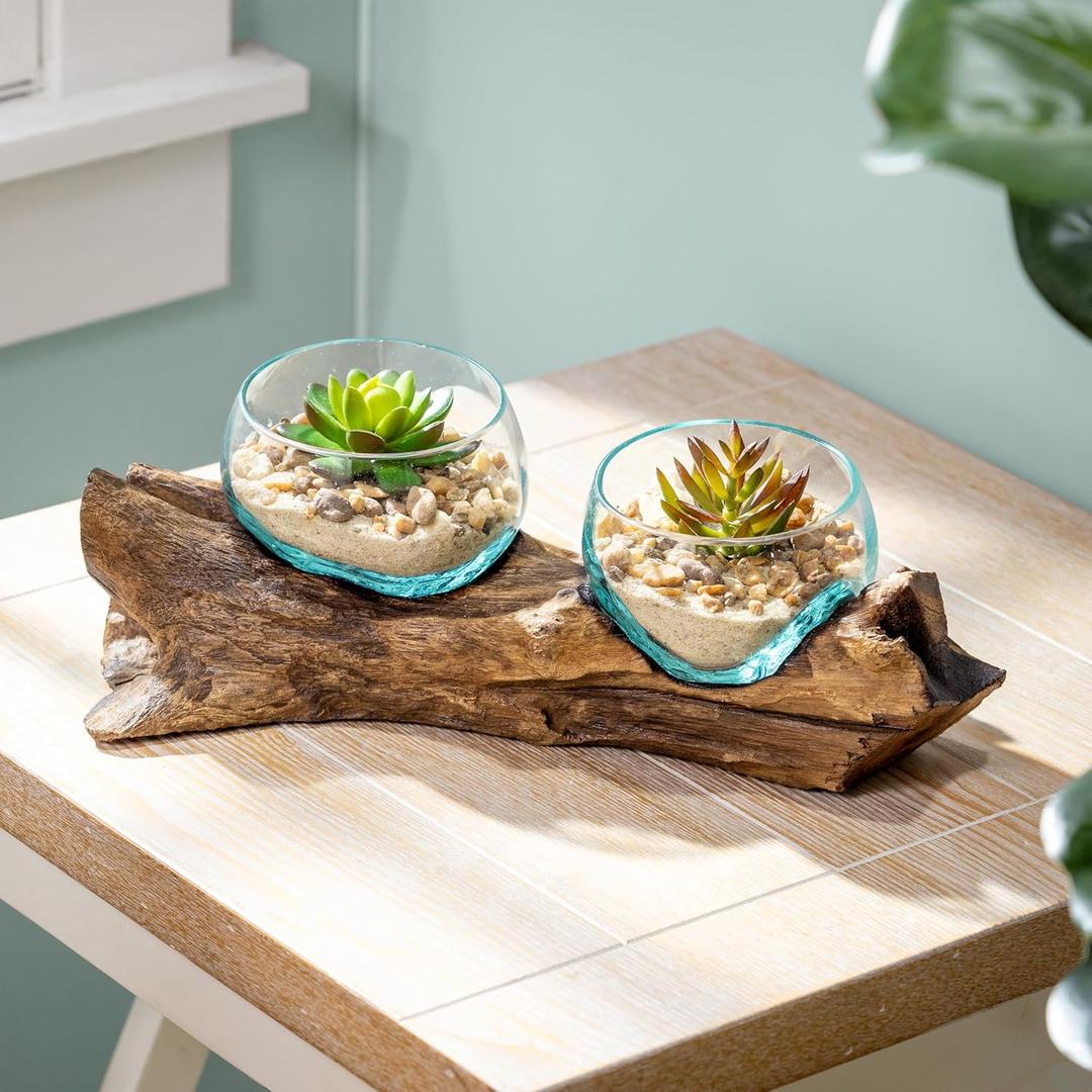 Cape Craftsmen Set of 2 Terrariums | Hand-Blown Blue Tinted Bubble Glass On Natural Teak Driftwood Terrarium | Home Dcor Indoor Planter with Stand | Pot for Succulent and Plants