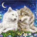 Ceaco - Wolves - Kayomi Harai - 1000 Piece Jigsaw Puzzle