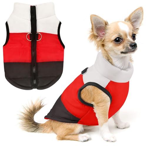 Idepet Pet Dog Cat Coat with Leash Anchor Color Patchwork Padded Puppy Vest Jacket Teddy Chihuahua Costumes Pug Cloth  (X-Large, Black)
