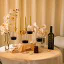 Ciaell 12 Pack Clear Plastic Wine Glasses - 14Oz Plastic Wine Glasses with Stem - Disposable Stemmed Wine Glass for Parties & Weddings & Outdoor