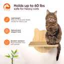 Cat Wall Shelves Furniture for Climbing - Cat House Wall Mounted - Indoor Wooden Floating Cat Furniture Large Set Including Shelves, Perches, Hammock, Bed, Bridges, Walkways