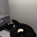 Tezituor 51inch Orca Stuffed Animal, Soft Stuffed Orca Plush Toy, Cuddly Killer Whale Stuffed Animal Blackfish Sea Animal Gift for Kids Boys Girls on Birthday Christmas