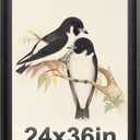 24x36 Poster Frame Black with Black Back Board, Curved Extra Wide Edges, Vintage Style Poster Frame 24x36 inches for Wall Decor.