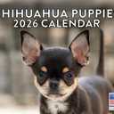 Chihuahua Puppy Calendar 2026 Wall 12 Month Monthly Puppies Chihuahuas Gifts For Chihuahua Lovers Women Men Mom Dad | American Made In The USA
