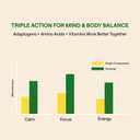 Ashwagandha Complex 800mg with GABA, L-Theanine & B6  Adaptogenic Support for Calm, Focus & Mood  60 Capsules  Stronger Than 600mg - Non-GMO, Gluten-Free (60 Count (Pack of 1))