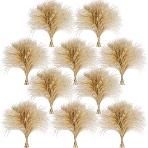 450 PCS Exquisite Natural Pampas Grass Decor - Versatile Reed Grasses for Home & Event Decoration, Pompous Fluffy Tall Dried Reed Grass - Perfect for Vases, Wreaths & Table Centerpieces