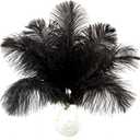 10pcs Natural Black Ostrich Feathers 14-16inch 35-40cm for Wedding Party Centerpieces, Easter Home Decorations