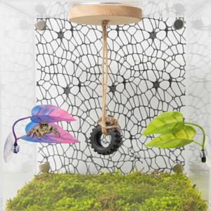 2 x Jumping Spider Enclosure Climbing Decor Accessories, Natural Wood Ledge, Climbing Web with Mounting Hardware and 2pcs Leaf Ledge, Jumping Spider Accessories, Mini Terrarium Kit (Black, Hammock)