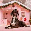 Maca Bates Christmas Pink Basic Dog Collar for Extra Large Girl Boy Dogs with Cute Gingerbread Man Charm Soft Adjustable Durable Collars,Winter Gift for Female Male Puppy with Safety Plastic Buckle