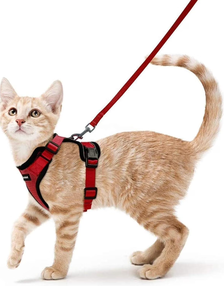 rabbitgoo Cat Harness and Leash for Walking, Escape Proof Soft Adjustable Vest Harnesses for Cats, Easy Control Breathable Reflective Strips Jacket,  red, XS