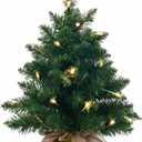 Mini Christmas Tree with Lights,Holiday Artificial Flocked Mini Christmas Tree Decoration,Includes 50 Led Warm Yellow Lights and Cloth Bag,Indoor Home Evergreen Tabletop Decor 2ft/24inch