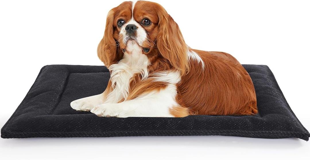 MABOZOO Indestructible Dog Bed for Aggressive Chewers,Black Tough Chew Proof Durable Dog Crate Pad/Mat,Machine Washable,22x35 in