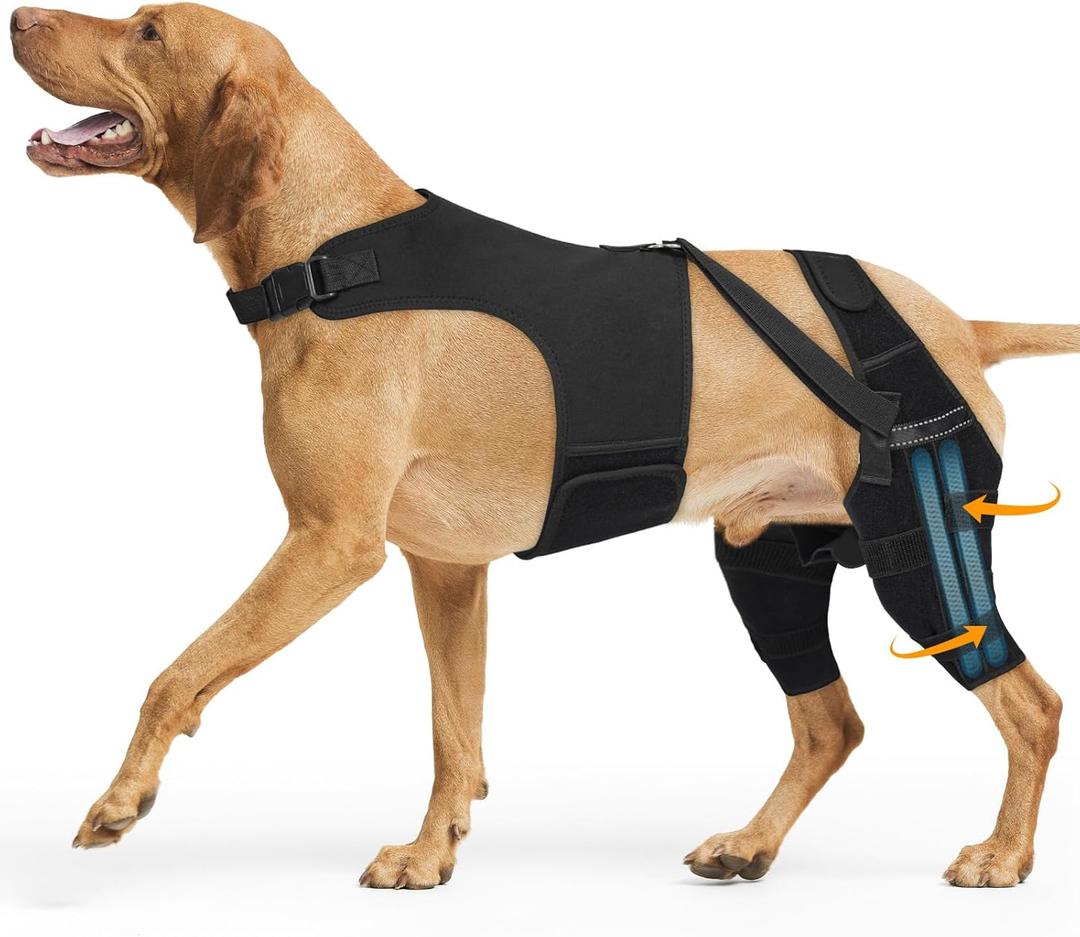Dog Knee Brace for Torn Acl Hind Leg, Adjustable for Back Leg with 4 Stabilizers, Hip Support to Reduces Pain, Ligament Injuries & Luxating Patella for Small Medium Large Dogs,(Black-XL)