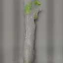 Plastic Kitchen Oil Pump Dispenser 15 Liter  Manual Hand Pump with Large Container for Cooking Oil, Mustard Oil, and Water  BPA-Free, Leakproof & Easy to Use for Home and Restaurant (Multicolour)