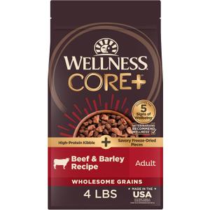 Wellness CORE+ Adult Dry Dog Food with Freeze Dried Pieces, Wholesome Grain Kibble+, Natural, High Protein, Beef and Barley Recipe, 4 lb Bag (EXP 12/16/26)
