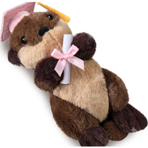 Blueweenly Sea Otter Stuffed Animal Plushie Cute Soft Sitting River Otter Stuffed Animal Ocean Gift for Graduations
