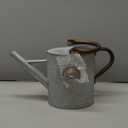 1 Gallon Metal Watering Can with Removable Spout, Nice Galvanized Steel Water Can with Embossed Design for Indoor and Outdoor Plants (Silver)