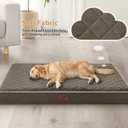WNPETHOME Orthopedic Giant Human Dog Beds for Adult & Dog Cozy Sleep
