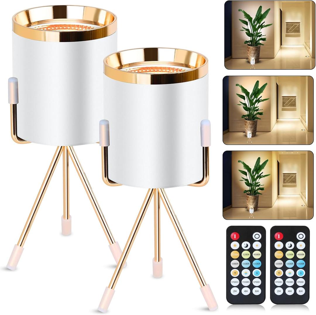 Spot Lights Indoor Floor Lamp, 6W Uplighting Indoor with Remote, Dimmable & Timer & 3 Color Temperatures, 2700K to 6500K Floor Can Lights for Plants Pictures Corner Ambient Lighting, 2 Pack