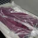 R&M Richards Women's Glitter Jacquard Jacket W/Sheer Insets & Knee-Length Shift Dress W/Necklace - Formal 2-Piece Ensemble (8)