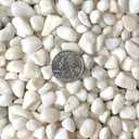 Midwest Hearth Decorative Polished White Pebbles 3/8" Gravel Size (2-lb Bag)