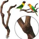 kathson Natural Parrot Perch Bird Stand Pole Wild Grape Stick Paw Grinding Fork Parakeet Climbing Standing Branches Toy Chewable Cage Accessories for Small Budgies Cockatiels Lovebirds 3PCS