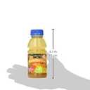 Langers Juice Cocktail, Pineapple Orange Guava, 10 Fl Oz (Pack of 12) (EXP 10/16/25)