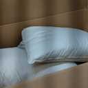 puredown Goose Feather Down Pillows, 100% Organic Cotton Cover, Luxury Hotel Collection Bed Pillows for Sleeping Set of 2, Queen Size