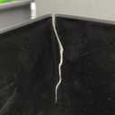 The HC Companies Aria Self Watering Square Plant Pot w/Drainage - Planters for Outdoor Plants & Indoor Plants - Lightweight & UV-Resistant Plastic Pots for Plants (8" Glossy Black, Pack of 1)