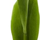 Nearly Natural 22in. Tulip Artificial Flower (Set of 8)