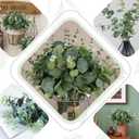 Coreland 120 Pcs 3 Kinds Mixed Artificial Eucalyptus Leaves Stems Fake Silver Dollar Eucalyptus Leaves Stem Bulk Faux Leaf for DIY Bouquets Floral Arrangement Wedding Home Decor