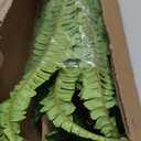 Artificial Boston Fern Bush- Set of 2 Large Artificial Ferns for Outdoors, 45Inch Large Faux Ferns, Suitable for Office & Living Room Decor, 55Branches for Each Bouquet