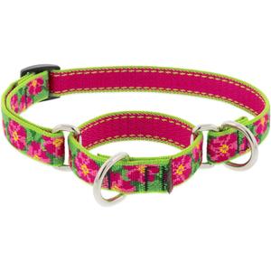 Lupine Martingale Dog Collar 3/4" Wide Petunias Adjusts from 14" to 20"