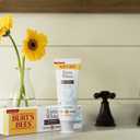 Burt's Bees Extra White Toothpaste, Fluoride Toothpaste, Natural Flavor, Mountain Mint, 4.7 oz, Pack of 3