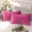 Ashler Throw Pillow Cases with Soft Pom Poms Velvet Plush Vibrant Elegant Cushion Covers, Pack of 2, Pink 12 x 20 inches 30 x 50 cm