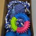 21Pcs Puppy Chew Toys - Blue Series Puppy Chew Toys Bundle for Teething, Puppies Teething Toys with Durable Rope Rubber Ball Ring, Pet Interactive Toys for Small Medium Dogs with Basket