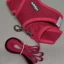 rabbitgoo Dog Harness Small Medium Sized and Leash Set, Step in Soft Light Puppy Vest, Breathable Mesh Pet Harness, Reflective for Safe Easy Walking, Rose Red L (L (Chest: 18.2 - 20.5"))