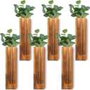 Skylety Pack of 6 Wood Wall Planters for Indoor Plants Wooden Hanging Vase Farmhouse Wall Decoration for Bedroom and Living Room (Wood Color)