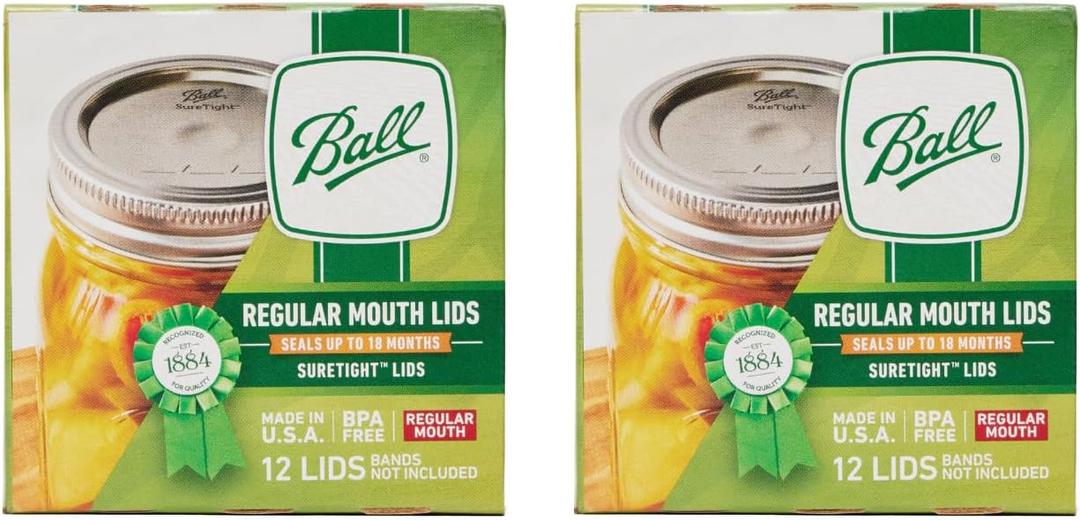 Ball Regular Mouth Mason Glass Jar Lids (24-Count), Silver