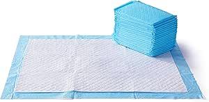 Basics Dog and Puppy Pee Pads with 5Layer LeakProof Design and QuickDry Surface for Potty Training, Heavy Duty Absorbency, XLarge, 28 x 34 Inch  Pack of 25, Blue & White