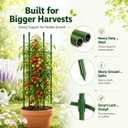 6 Pack Tomato Cages for Garden, 49" Adjustable Heavy Duty Round Tomato Cage, Metal Plant Support & Tomato Trellis for Raised Garden Bed, Pots, Vegetable & Climbing Plant Support Stakes (6)