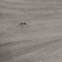 LINSY HOME Dresser for Bedroom with 8 Drawers, Updated Wide Chest of Drawers, Modern Farmhouse Bedroom Tall Dresser with Storage Organizer, Wooden Dressers for Living Room, Beige (15.7"D x 47.3"W x 42.2"H (8 Drawers))