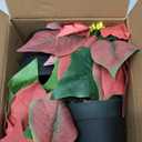 2 Pack Poinsettias Artificial Christmas Flowers Small Red Poinsettia Plant Artificial 9 Inch Faux Winter Flowers for Porch Home Garden Decorations Indoor Outdoor Xmas Ornament
