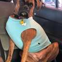 Gooby - Stretch Fleece Vest, Pullover Fleece Vest Jacket Sweater for Dogs, Mint, 4X-Large