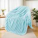Exclusivo Mezcla Fleece Throw Blanket for Couch, Super Soft Striped Jacquard Bed Blanket, Lightweight Fuzzy Cozy for All Seasons, 50x60 Inches, Light Blue