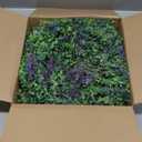 Seasons 22 inch Boxwood Wreath for Front Door, Artificial Spring & Summer Wreath with Greenery Leaf for Farmhouse, Wall, Window or Wedding Home Decor (Lavender)