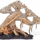 Azil Bonsai Driftwood Aquarium Tree for Aquarium Decor Fish Tank Decorations (10.1'' Length)
