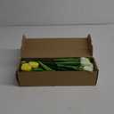 MACTING 30 PCS Artificial Tulip Flowers 13.7" Real Touch Fake Flowers Faux PU Tulips for Floral Arrangement Table Centerpieces Kitchen Home Indoor Outdoor Summer Decorations(Mix Green)